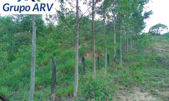 Imagem 4: Sítio em Minas Gerais