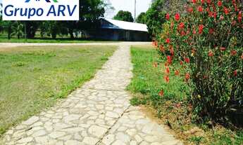 Imagem 5: Fazenda com 80.000 Hectares MS