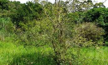 Imagem 5: Sítio em Atibaia com 51.900 m²