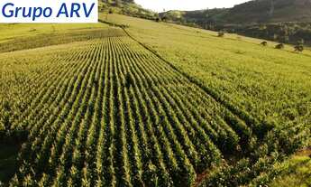 Imagem: Área com 348.000 m² em Atibaia