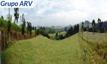 Imagem 7: Fazenda com 70 alqueires no Sul de Minas