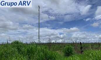 Imagem 4: Fazenda com 1.800 Alqueires no Amazonas