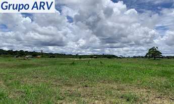 Imagem 5: Fazenda com 1.800 Alqueires no Amazonas