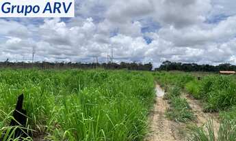 Imagem 7: Fazenda com 1.800 Alqueires no Amazonas