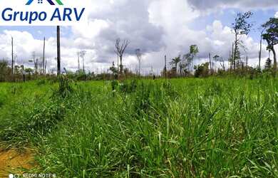 Imagem 3: Fazenda com 660 Alqueires no Amazonas