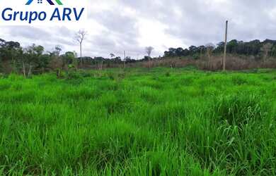 Imagem 7: Fazenda com 660 Alqueires no Amazonas