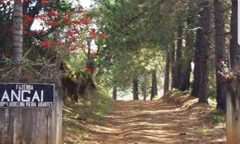 Imagem 4: Fazenda com 190 ha no Sul de Minas