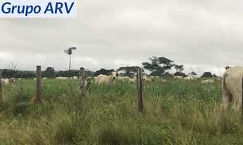 Imagem 4: Fazenda com 149.132 ha em Mato Grosso