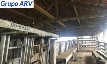 Imagem 6: Fazenda com 149.132 ha em Mato Grosso