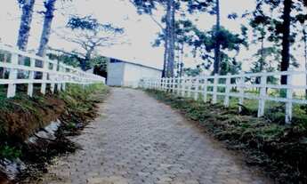 Imagem: Sítio com 13,7 alqueires no Circuito das