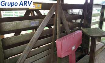 Imagem 3: Fazenda com 90 Alqueires em socorro SP