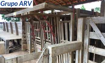 Imagem 5: Fazenda com 90 Alqueires em socorro SP