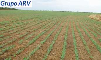 Imagem: Fazenda com 1032 ha em Bonito MG