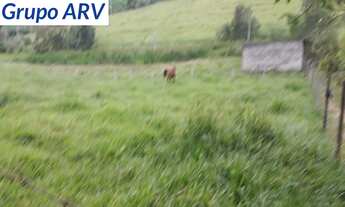 Imagem 5: Sítio com 23 mil m² em Socorro