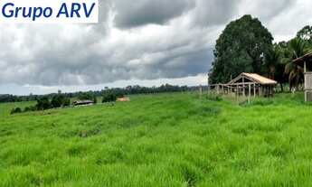 Imagem: Fazenda com 3.580 HA em Rondônia
