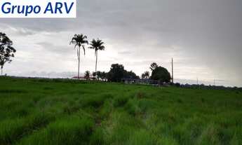 Imagem 2: Fazenda com 3.580 HA em Rondônia