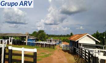 Imagem 5: Fazenda com 3.580 HA em Rondônia