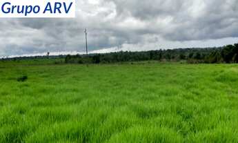 Imagem 7: Fazenda com 3.580 HA em Rondônia