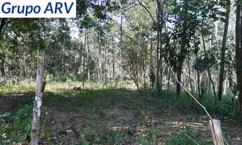 Imagem 2: Sítio em Piracaia com 100.000 m²