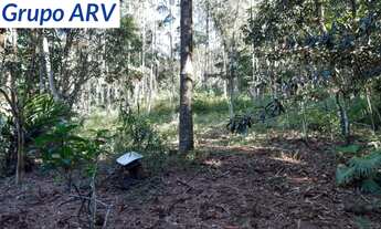 Imagem 3: Sítio em Piracaia com 100.000 m²