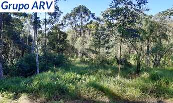 Imagem 6: Sítio em Piracaia com 100.000 m²