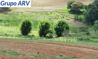 Imagem 4: Sítio com 10 Alqueires em Ouro Fino MG