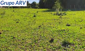 Imagem 7: Sítio com 10 Alqueires em Ouro Fino MG