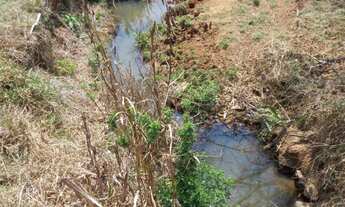 Imagem 3: Sítio com 14,5 alqueires em Socorro