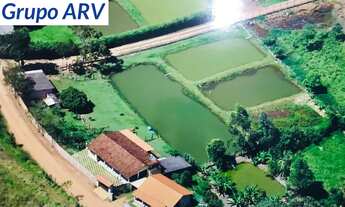 Imagem: Chácara com 4.000 m² em Socorro