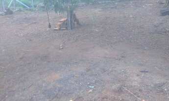 Imagem: Chácara com 700 m² em Socorro