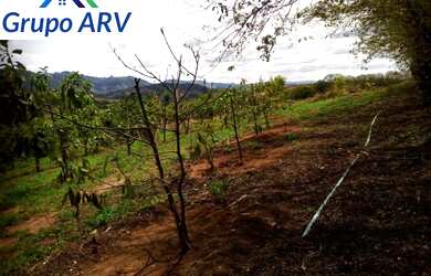 Imagem 7: Sítio com 5 alqueires no Sul de Minas Gerais