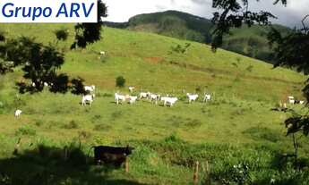 Imagem: Fazenda com 2.565 ha em Santa Branca SP