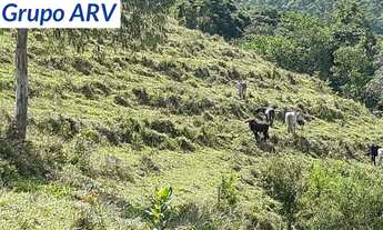 Imagem 6: Sítio com 5 alqueires em Piracaia SP