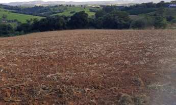 Imagem 3: Sítio com 50.000 m² em São José da Barra MG