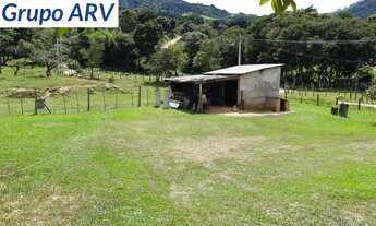 Imagem 7: Sítio com 5 alqueires em Piracaia SP