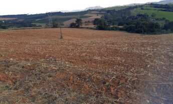 Imagem 4: Sítio com 50.000 m² em São José da Barra MG