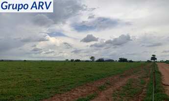 Imagem 4: Fazenda com 1.000 alqueires em Ourinhos SP