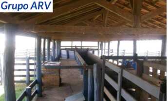 Imagem 6: Fazenda com 1.000 alqueires em Ourinhos SP