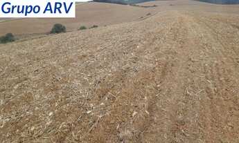 Imagem: Fazenda com 58 alqueires em Itapira SP