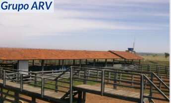 Imagem 7: Fazenda com 1.000 alqueires em Ourinhos SP