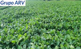 Imagem 5: Fazenda com 58 alqueires em Itapira SP