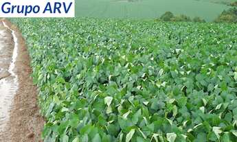 Imagem 2: Fazenda com 58 alqueires em Itapira SP