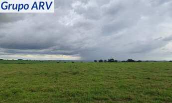 Imagem 2: Fazenda com 1.000 alqueires em Ourinhos SP