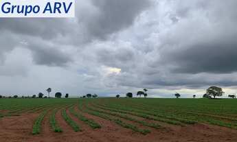 Imagem: Fazenda com 1.000 alqueires em Ourinhos