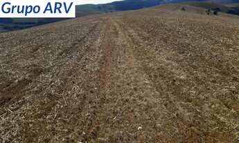 Imagem 6: Fazenda com 58 alqueires em Itapira SP