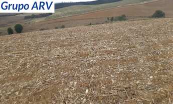 Imagem 4: Fazenda com 58 alqueires em Itapira SP