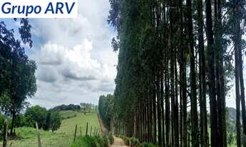 Imagem 6: Sítio com 19 hectares em Tuiuti SP