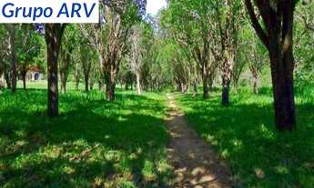 Imagem 4: Sítio com 11 alqueires em Atibaia