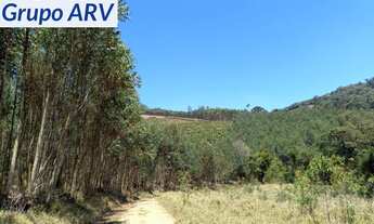 Imagem 7: Sítio com 19 hectares em Tuiuti SP