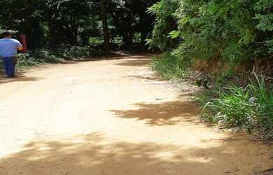 Imagem 6: Terreno com 1.000 m² em Toledo MG